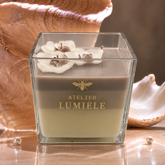 Orchids Square Vase,  950g.